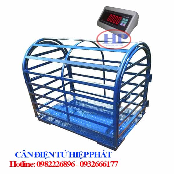 can-heo-can-dong-vat-o-TN