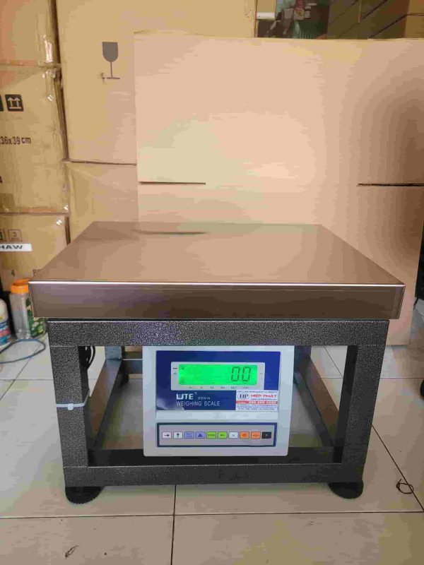 Can-ghe-dien-tu-bsw-n-300kg-hang-ute
